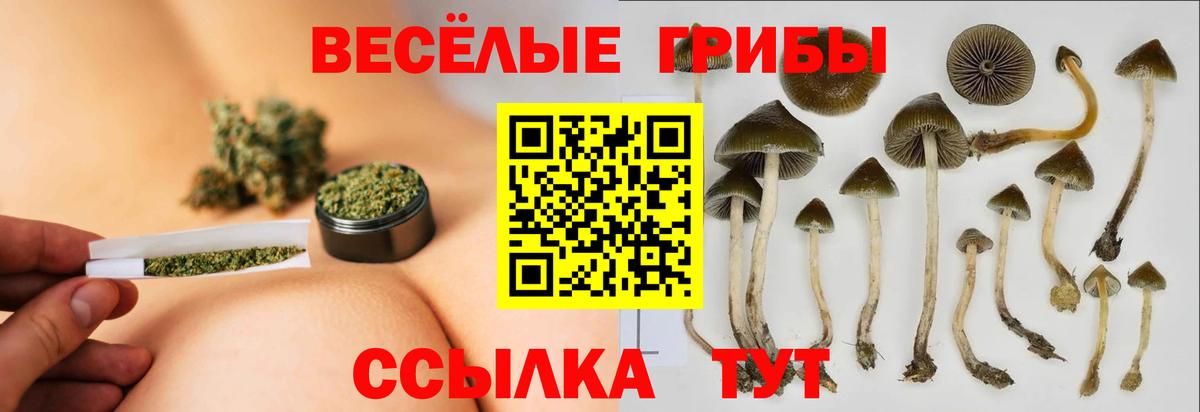 Псилоцибиновые грибы прущие грибы Кингисепп